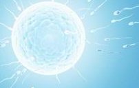 试管婴儿注射促排卵针剂后一次取卵多少个正常？哪些因素影响试管婴儿取卵的数量？