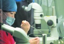 美国试管婴儿卵泡质量的标准概览：成熟、健康与数量兼备成好孕基石