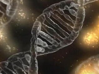 荆门市生孩子做染色体检查有必要吗，筛查一次大概需要多少钱？